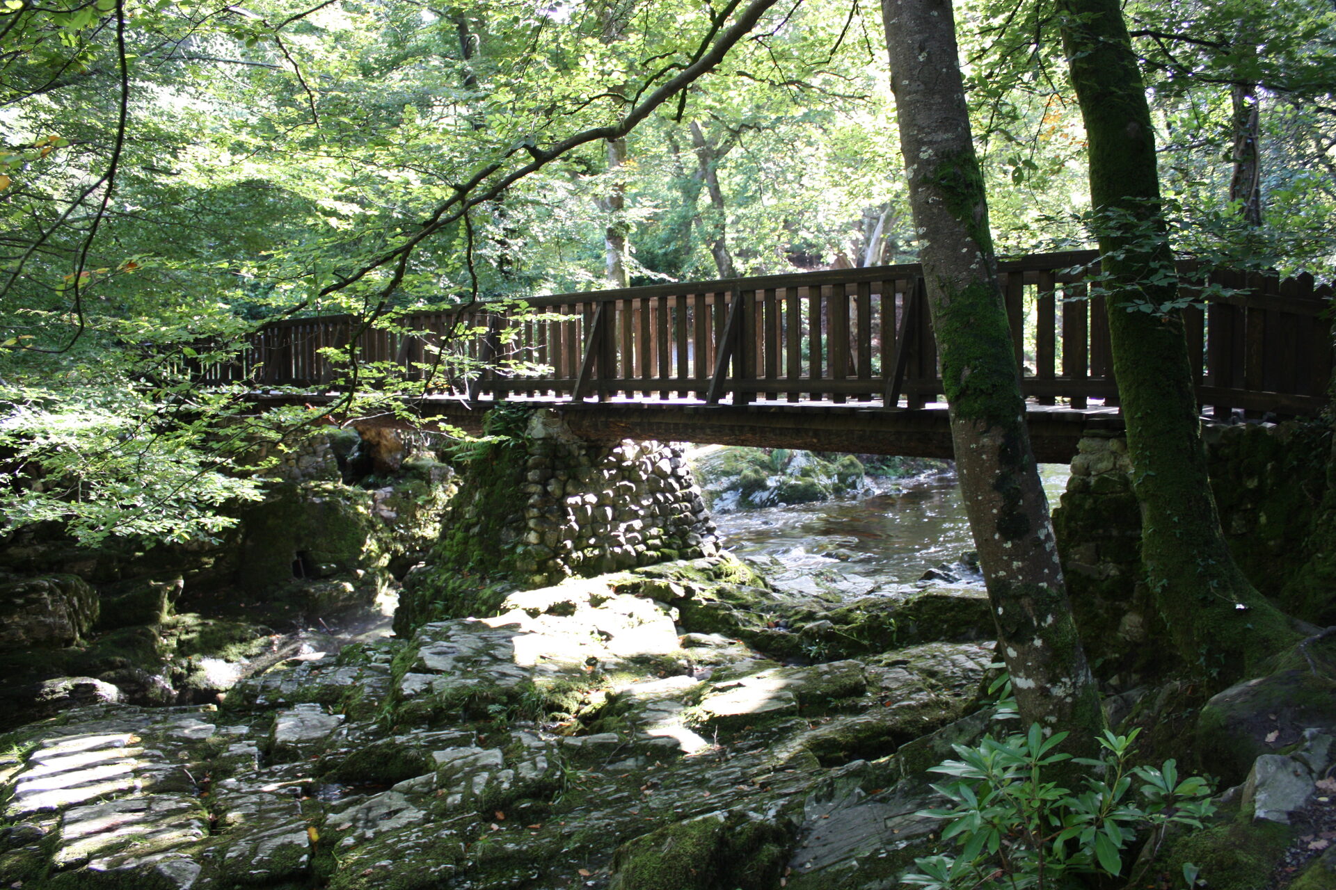Tollymore Forest Park bridge over river